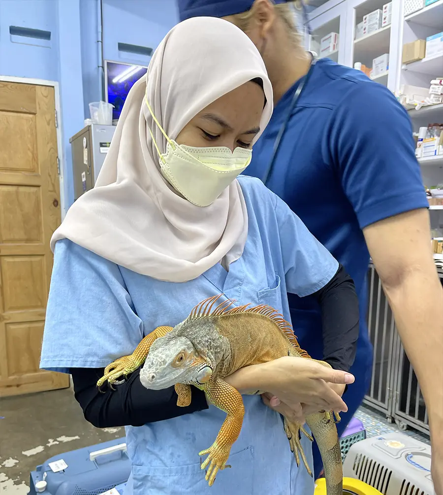 animal clinic ocean vet Johor Bahru-1