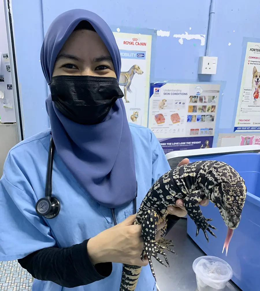 animal clinic ocean vet Johor Bahru-12