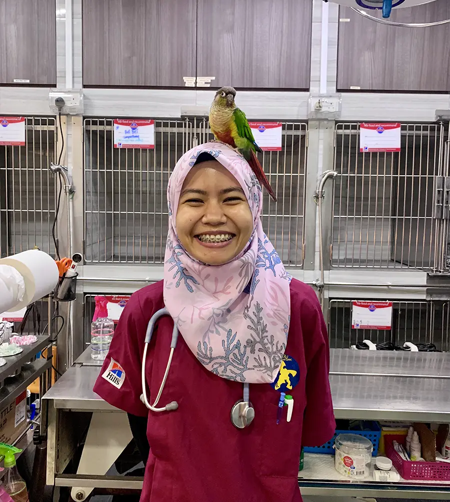 animal clinic ocean vet Johor Bahru-2