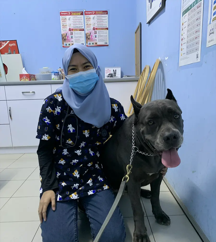 animal clinic ocean vet Johor Bahru-3