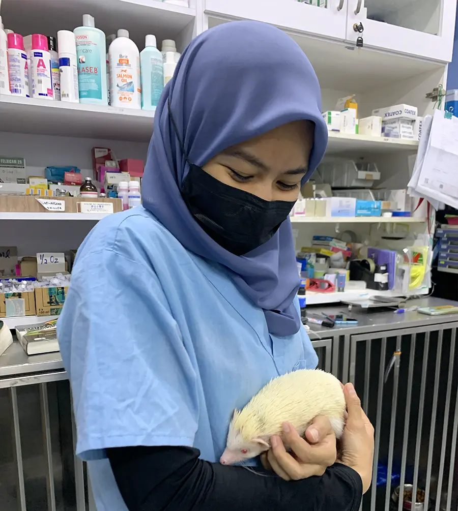 animal clinic ocean vet Johor Bahru-5