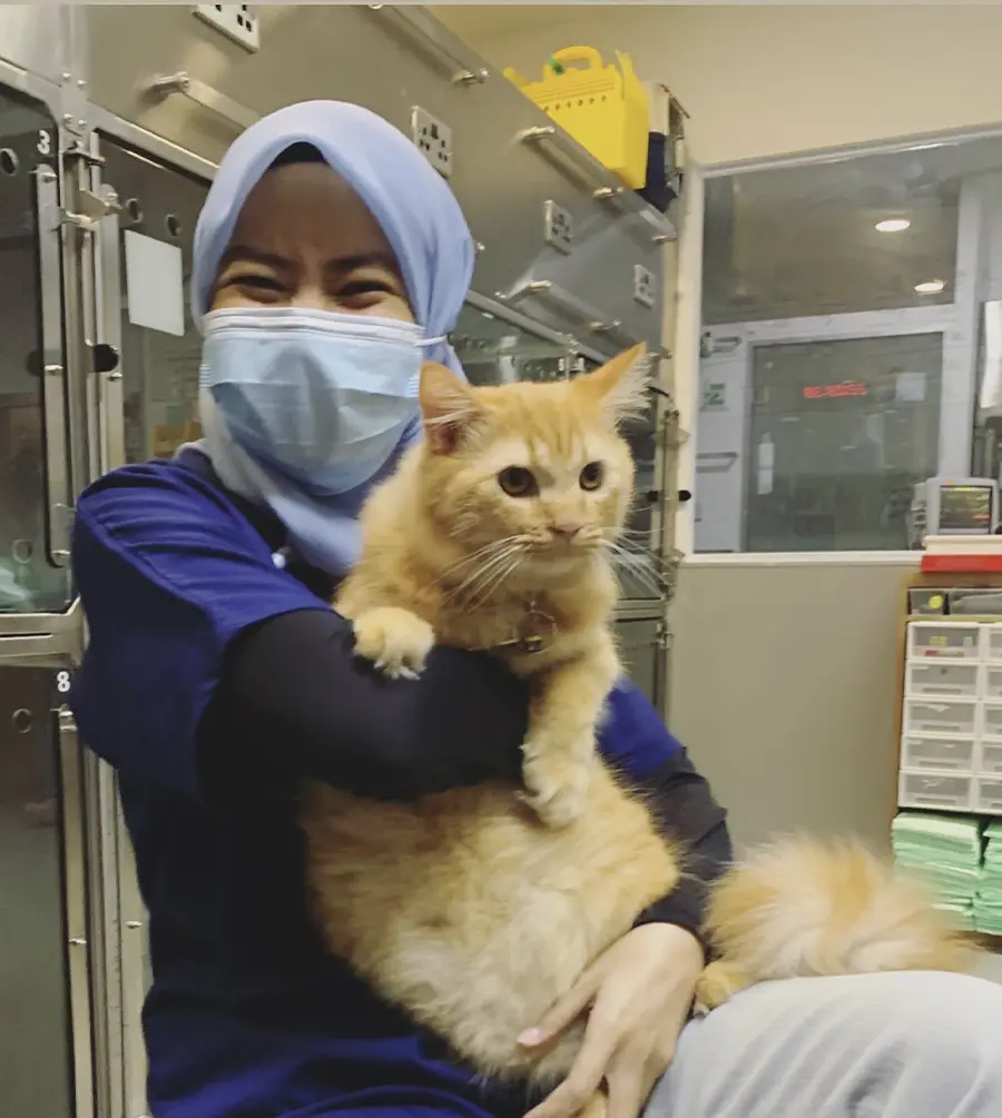 animal clinic ocean vet Johor Bahru-6