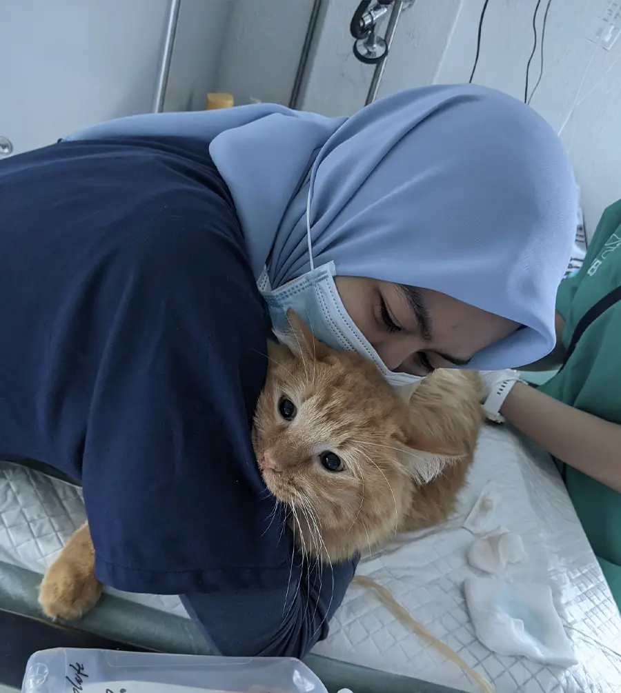 animal clinic ocean vet Johor Bahru-7