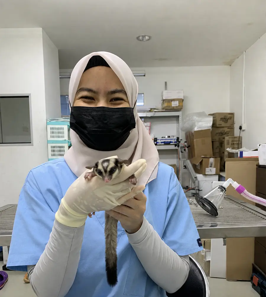 animal clinic ocean vet Johor Bahru-8