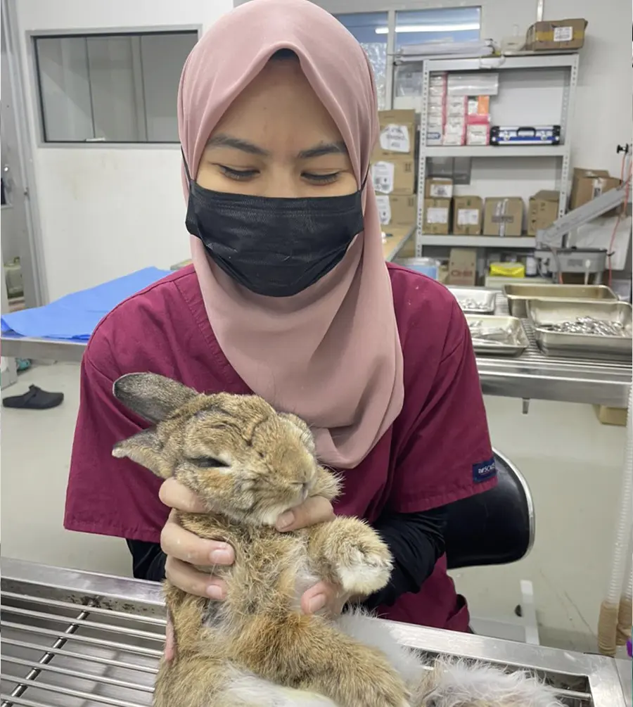 animal clinic ocean vet Johor Bahru-9